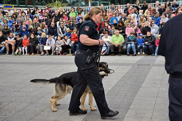 Polizeishow   026.jpg
